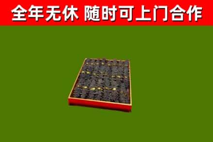 泰来回收海参